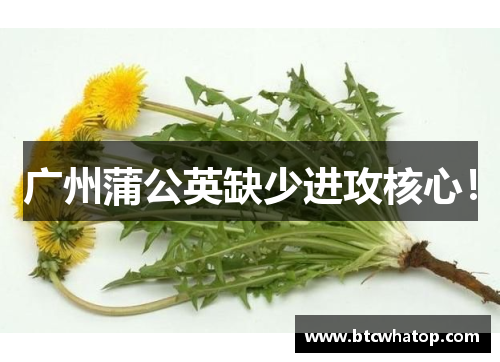 广州蒲公英缺少进攻核心！